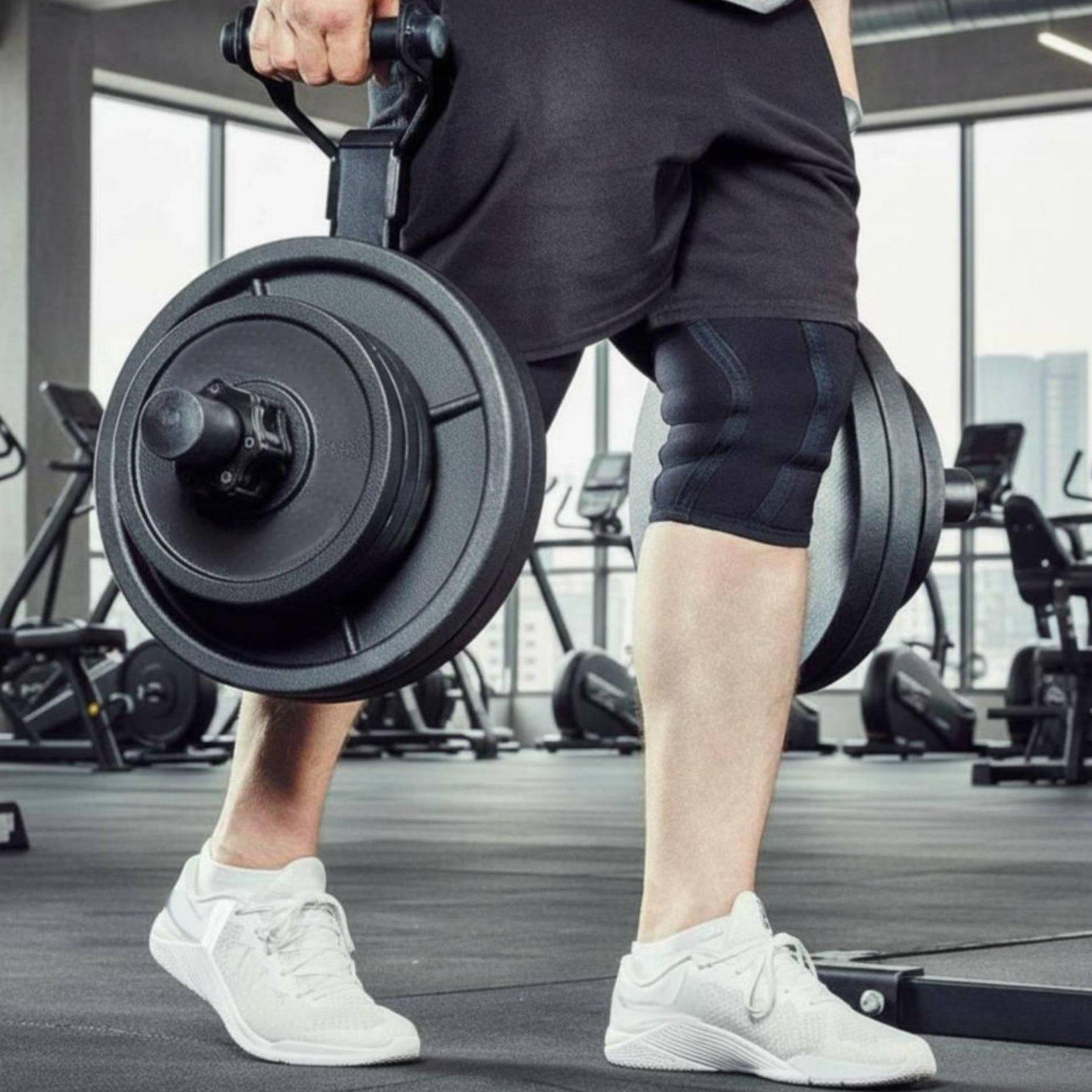 Suporte Organizador de Anilhas - Home Gym Gym Equipment avaliação e preço